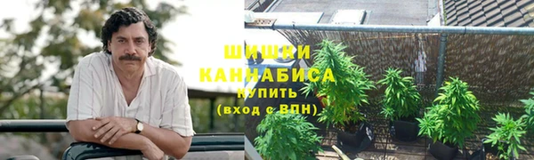 Альфа ПВП Вязьма